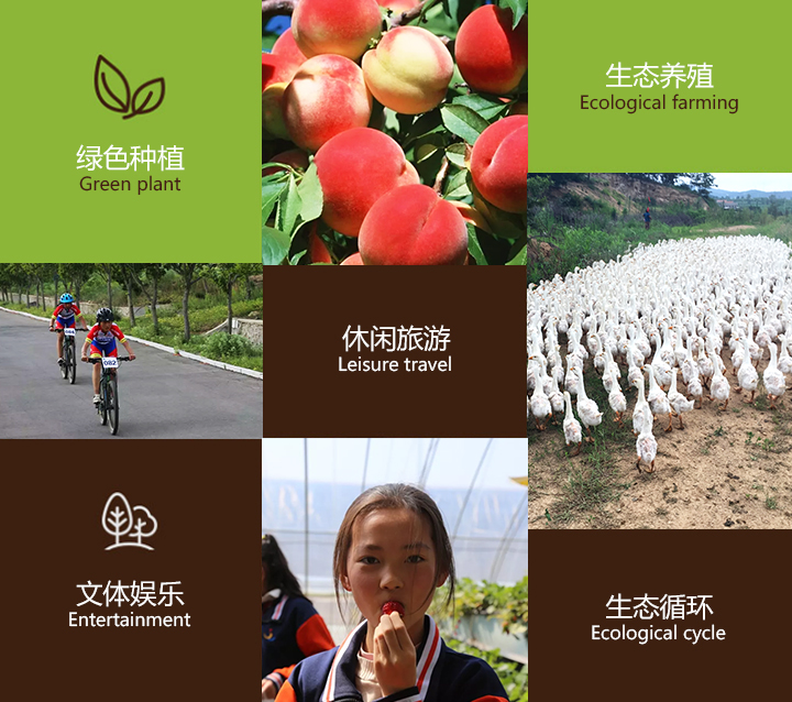 米兰娱乐官网入口